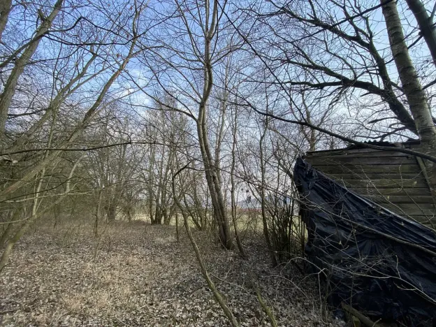 Prodej louky, Městečko Trnávka - Lázy, 1158 m2