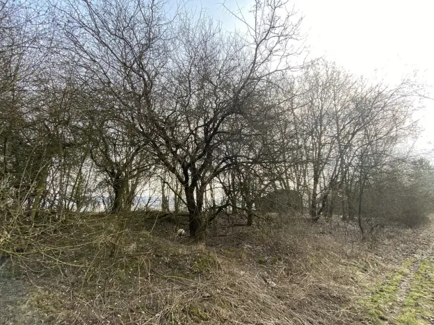 Prodej louky, Městečko Trnávka - Lázy, 1158 m2