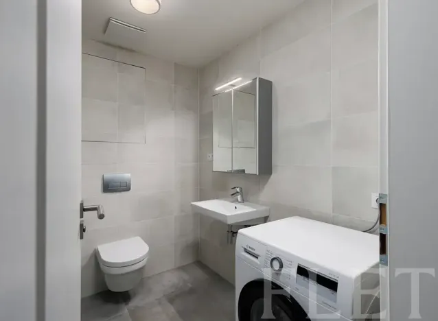 Pronájem bytu 1+kk, Praha - Žižkov, Hartigova, 37 m2