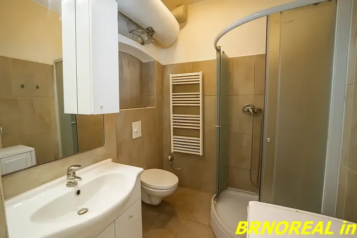 Pronájem bytu 1+kk, Brno, Vodní, 20 m2