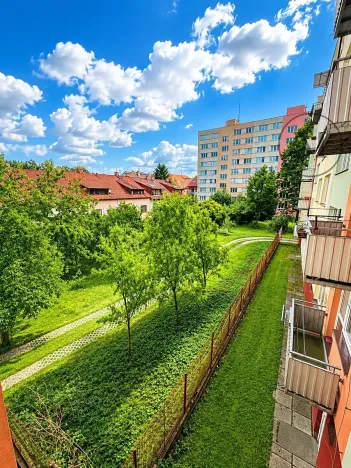 Pronájem bytu 3+1, České Budějovice, Puklicova, 60 m2