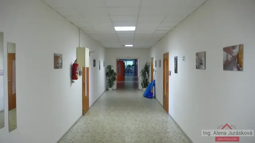 Pronájem skladu, Praha - Sedlec, Kamýcká, 73 m2