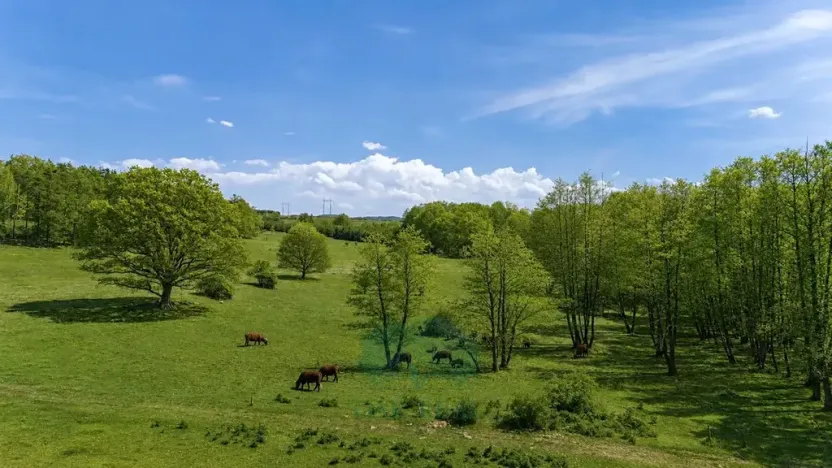 Prodej louky, Vrchotovy Janovice, 274000 m2