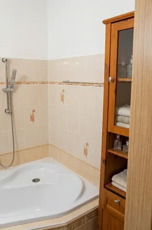 Pronájem bytu 3+1, České Budějovice, Dobrovodská, 66 m2