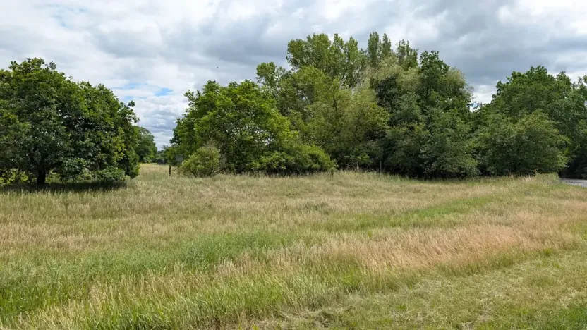 Prodej zahrady, Nová Ves, 658 m2
