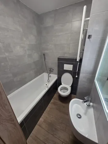 Pronájem bytu 1+1, Teplice, Smetanova, 55 m2