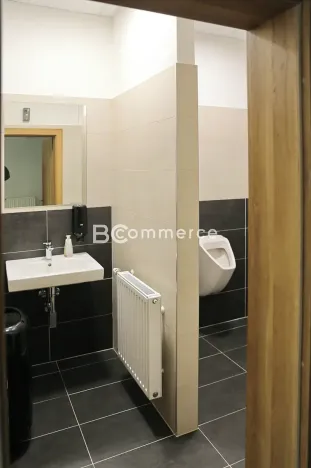 Pronájem kanceláře, Brno, Vídeňská, 504 m2