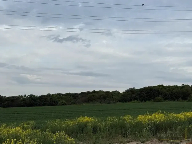 Prodej pozemku pro bydlení, Panenské Břežany, Vilová, 822 m2
