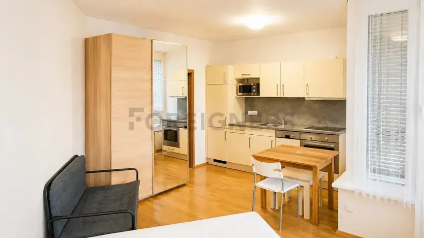 Pronájem bytu 1+kk, Brno, Kopečná, 29 m2