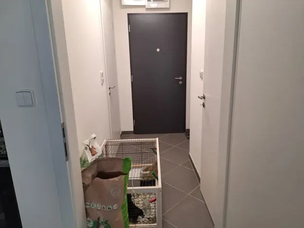 Pronájem bytu 1+kk, Praha - Ruzyně, Stočesova, 33 m2