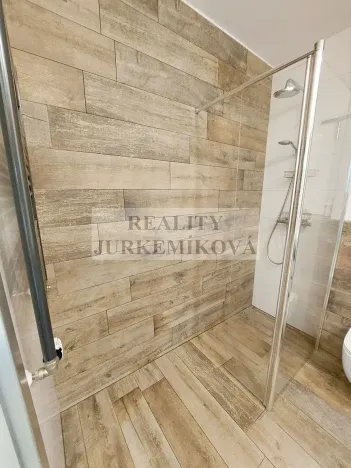 Pronájem bytu 2+kk, České Budějovice, U Lučního jezu, 46 m2