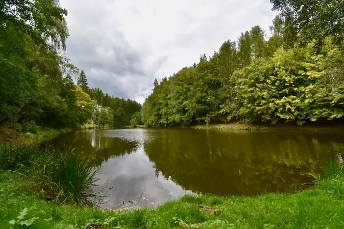 Prodej chaty, Číhošť, 75 m2