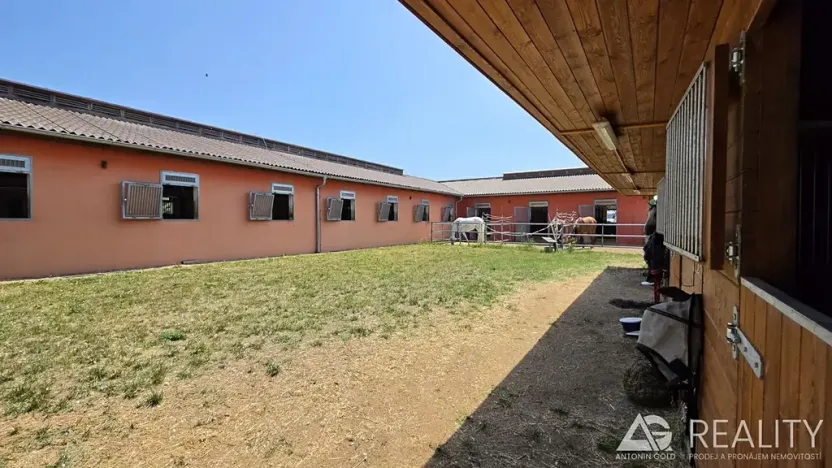 Prodej zemědělského objektu, Úžice, 5128 m2
