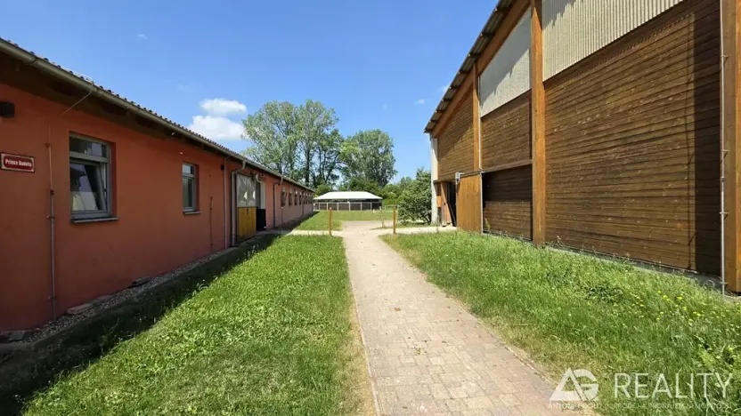 Prodej zemědělského objektu, Úžice, 5128 m2