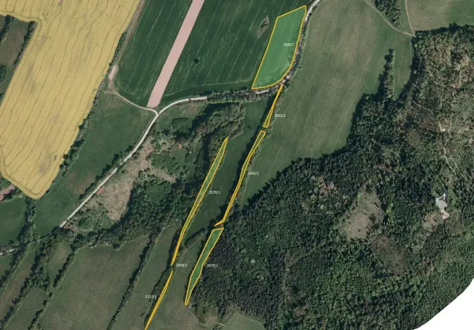 Prodej louky, Město Albrechtice, 64132 m2