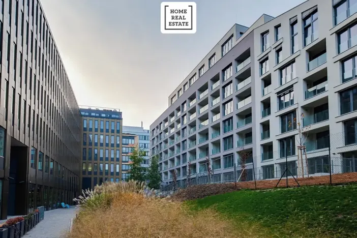 Pronájem bytu 2+kk, Praha - Karlín, Breitfeldova, 50 m2