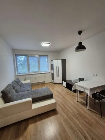 Pronájem bytu 1+kk, Jihlava, U Cihelny, 28 m2
