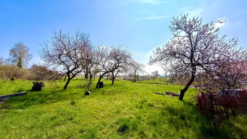 Prodej rodinného domu, Podsedice, 290 m2