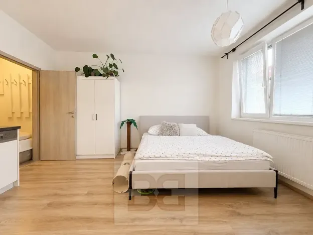 Pronájem bytu 1+kk, Brno, Vranovská, 26 m2
