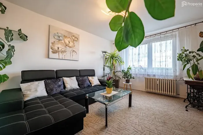 Prodej bytu 2+1, Brno, Teyschlova, 59 m2