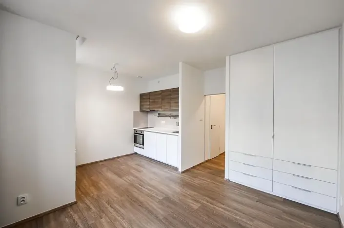 Pronájem bytu 1+kk, Praha - Vinohrady, Lucemburská, 30 m2