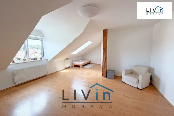 Pronájem bytu 1+kk, Olomouc, Krakovská, 80 m2