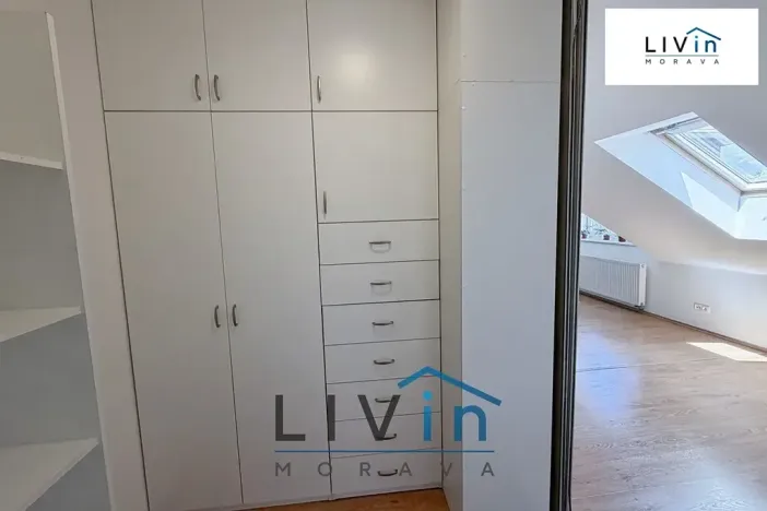 Pronájem bytu 1+kk, Olomouc, Krakovská, 80 m2