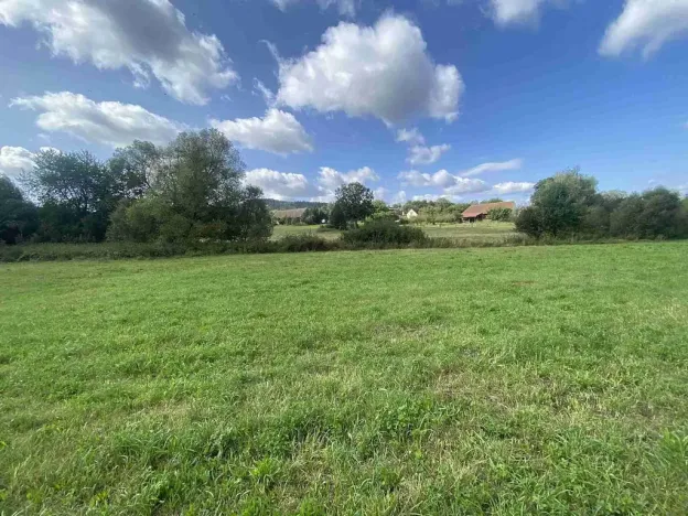 Prodej pole, Čížkov, 6291 m2
