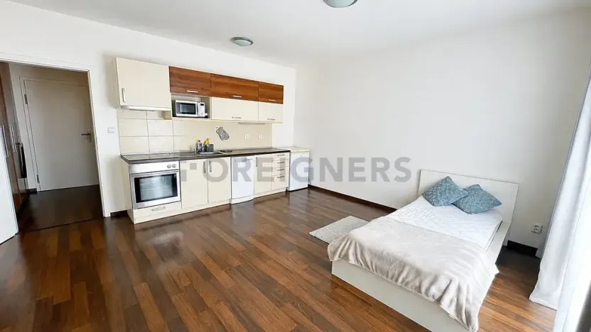 Pronájem bytu 1+kk, Plzeň, Veverkova, 38 m2