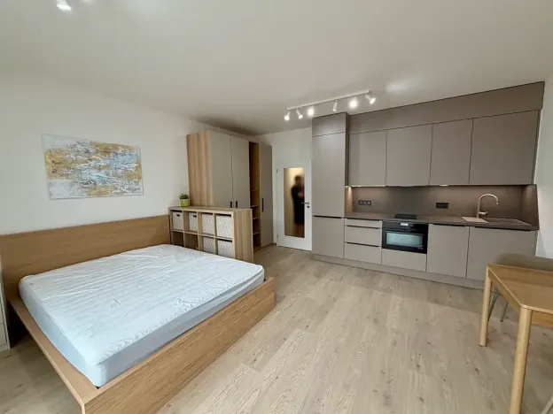 Pronájem bytu 1+kk, Praha - Vysočany, Gerstelova, 36 m2