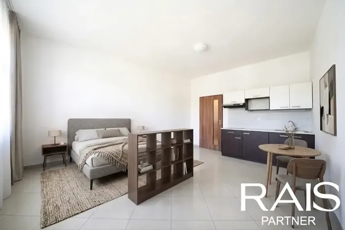 Prodej bytu 1+kk, Brno, Svitavská, 29 m2