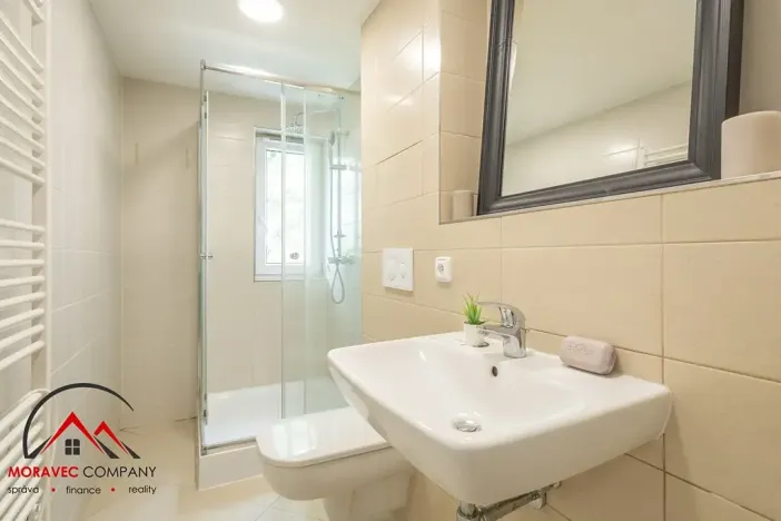 Pronájem bytu 1+1, Ostrava, Cihelní, 31 m2