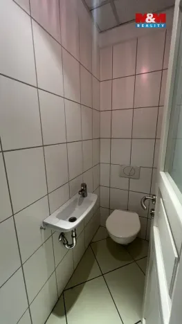Pronájem ubytování, Veselí nad Lužnicí - Veselí nad Lužnicí I, náměstí T. G. Masaryka, 170 m2