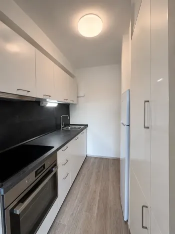 Prodej bytu 3+1, Praha - Žižkov, Hartigova, 72 m2