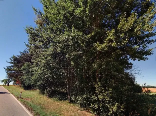Prodej pozemku, Trhové Sviny - Rankov, 915 m2
