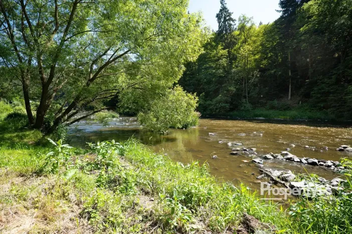Prodej chaty, Jílové u Prahy - Luka pod Medníkem, 90 m2