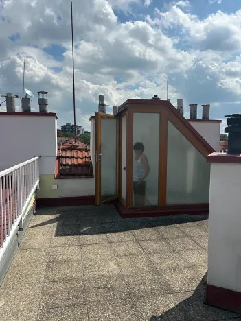 Pronájem bytu 2+kk, Praha - Žižkov, Žerotínova, 60 m2