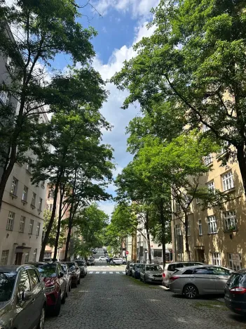 Pronájem bytu 2+kk, Praha - Žižkov, Žerotínova, 60 m2