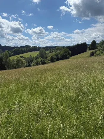 Prodej pozemku pro bydlení, Hrádek, 7359 m2