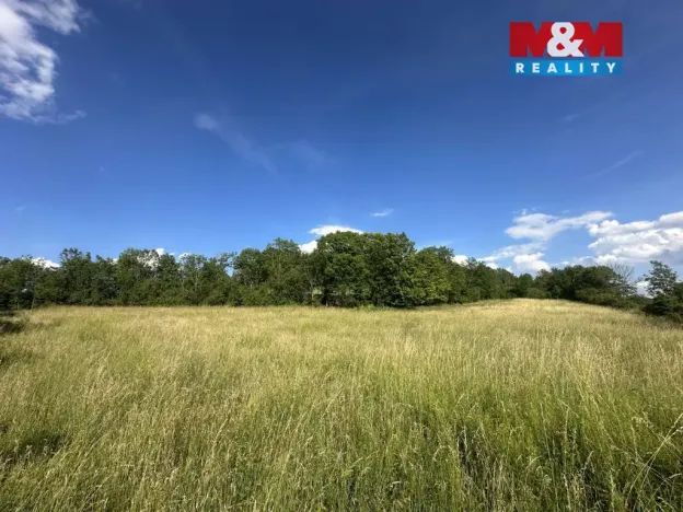 Prodej zahrady, Bechlín - Předonín, 625 m2