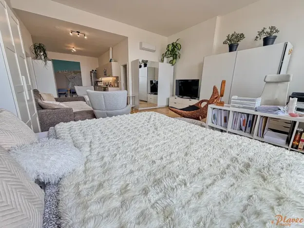 Pronájem bytu 1+kk, Praha - Staré Město, Národní, 67 m2
