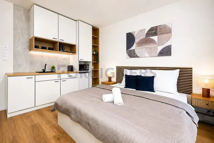 Pronájem bytu 1+kk, Brno, Cejl, 38 m2
