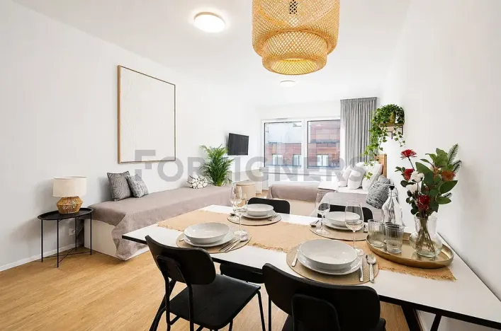 Pronájem bytu 1+kk, Brno, Cejl, 29 m2