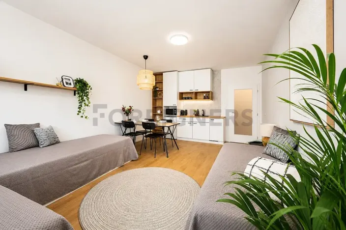 Pronájem bytu 1+kk, Brno, Cejl, 29 m2