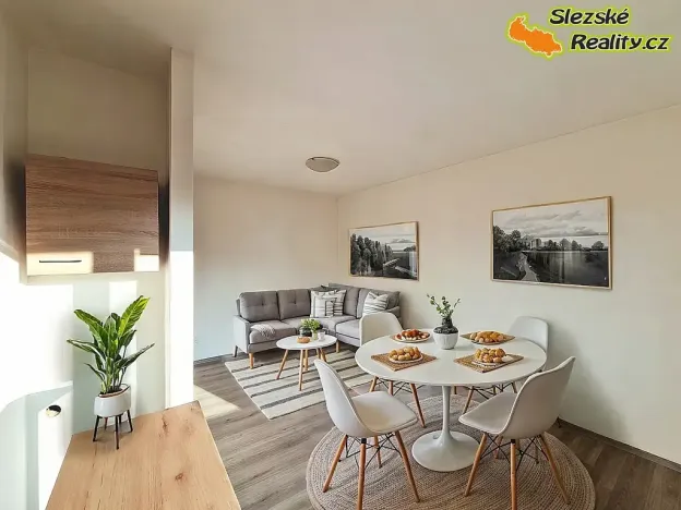 Pronájem bytu 1+kk, Ostrava, Krakovská, 22 m2
