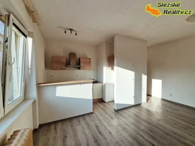 Pronájem bytu 1+kk, Ostrava, Krakovská, 22 m2