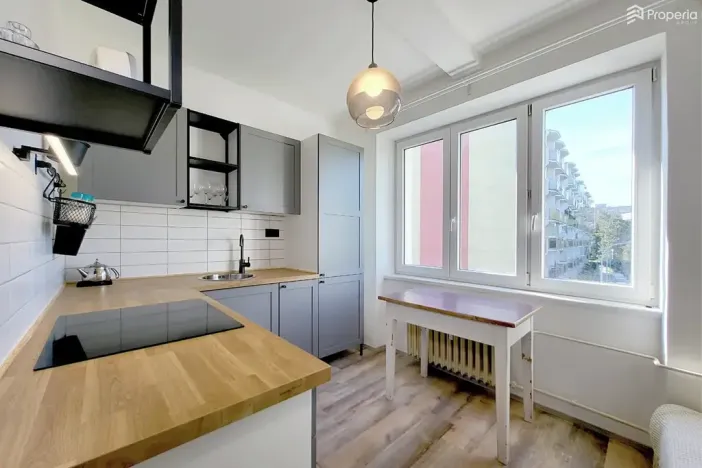 Prodej bytu 2+1, Brno, Mánesova, 62 m2