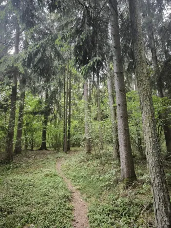 Prodej lesa, Myslív, 5003 m2