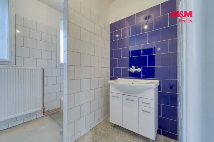Prodej bytu 2+1, Plzeň - Východní Předměstí, Olšová, 72 m2