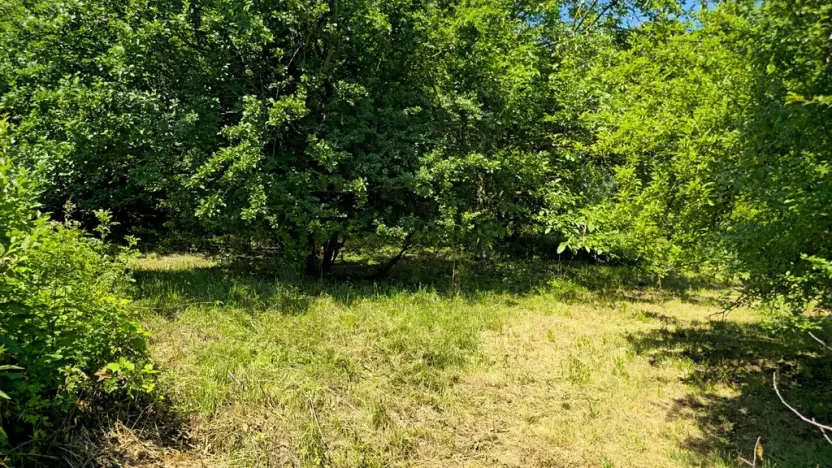 Prodej pozemku pro bydlení, Bukovina u Přelouče, 998 m2